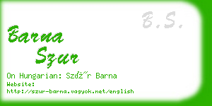 barna szur business card